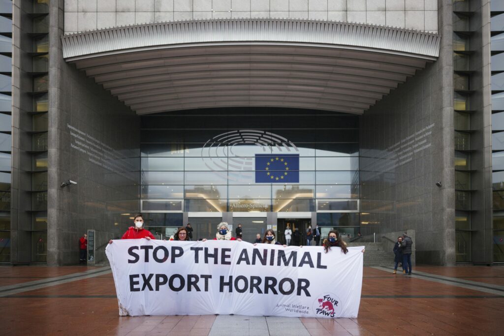 EU-Parlament: 900.000 Unterschriften gegen Tiertransporte in EU-Drittlnder bergeben
