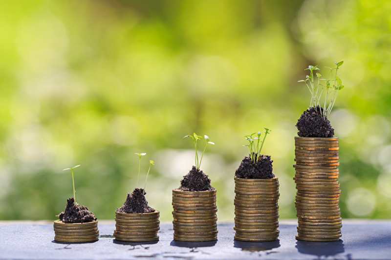 Boomende ESG-Investments – nur Vorteile oder auch Nachteile?