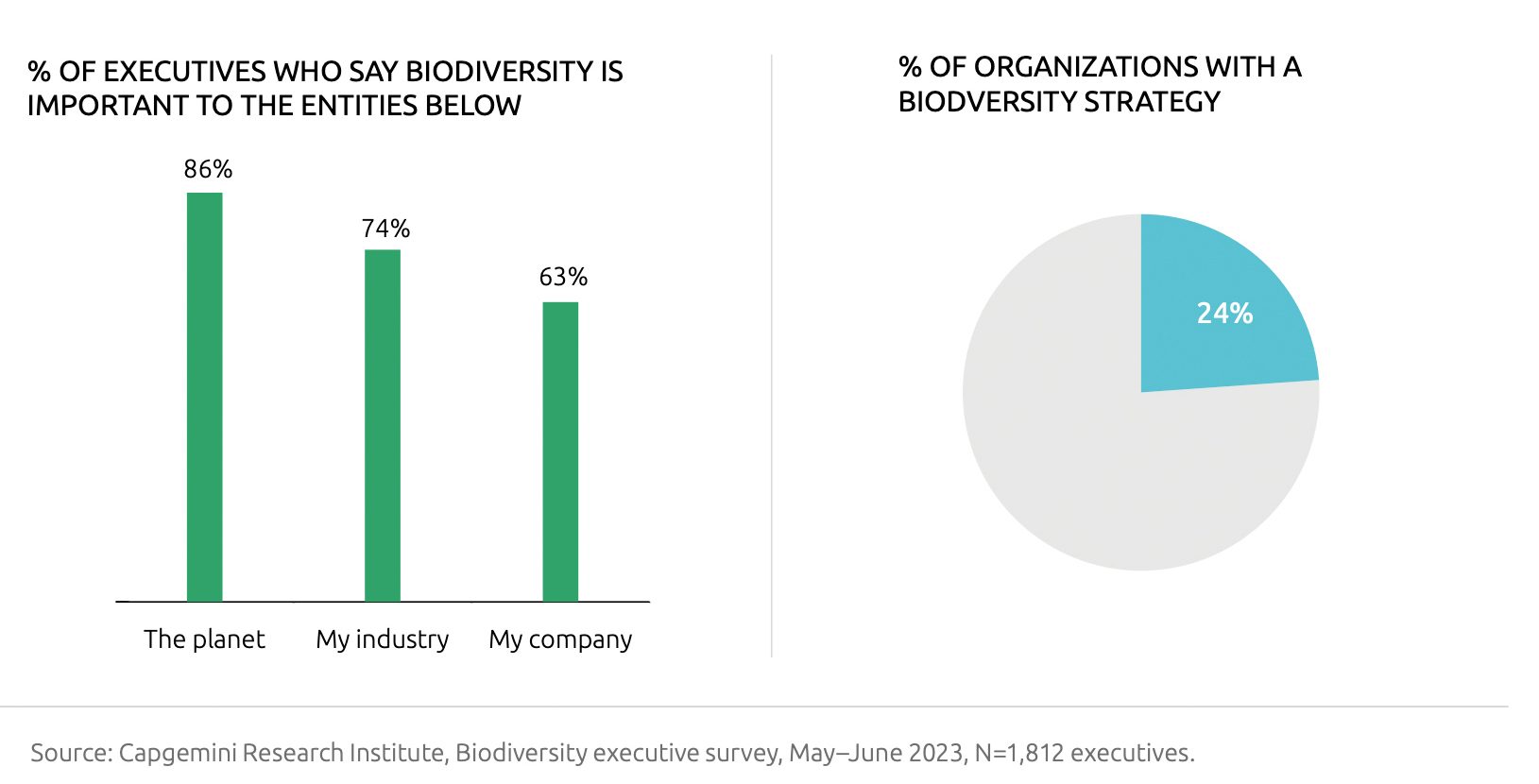 Unternehmen und die Förderung einer authentischen Biodiversitätsstrategie