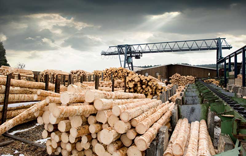 Heimische Sägeindustrie und Holzhandel auf Wertschöpfung fokussiert