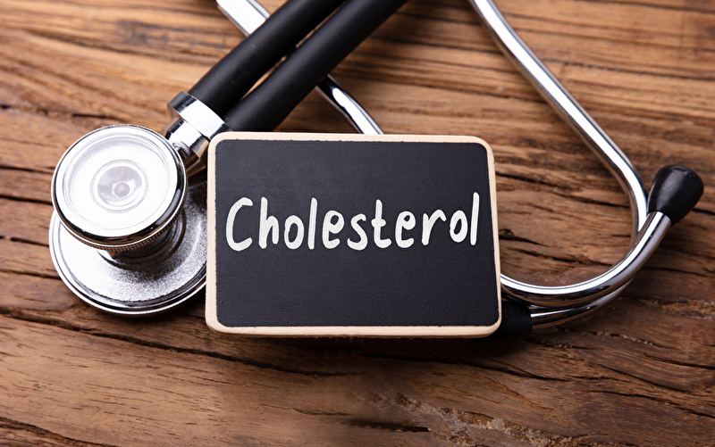 Nationaler Schulterschluss gegen erhöhtes Cholesterin dringend erforderlich!