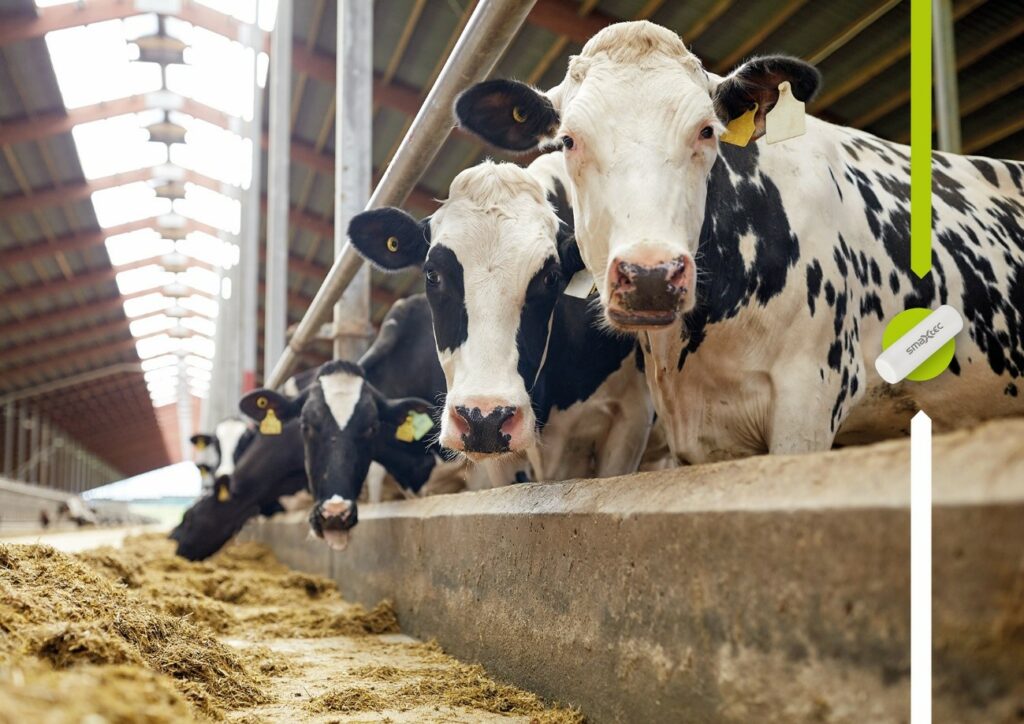 Steirisches Agri-Tech Unternehmen smaXtec weiter auf Wachstumskurs: Schon bald soll eine Million Kühe „under monitoring“ sein.