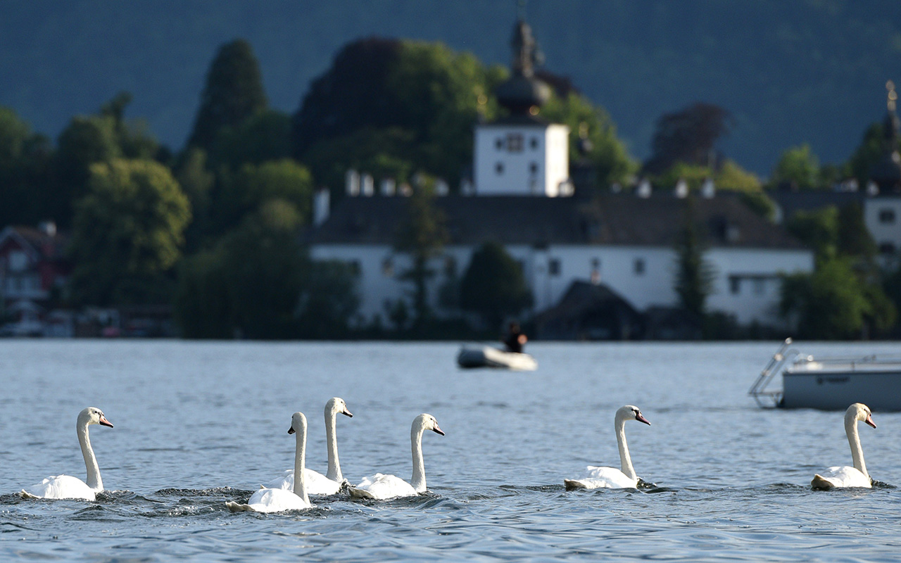 Deutliche Verbesserung der Stimmungslage in der Tourismusbranche