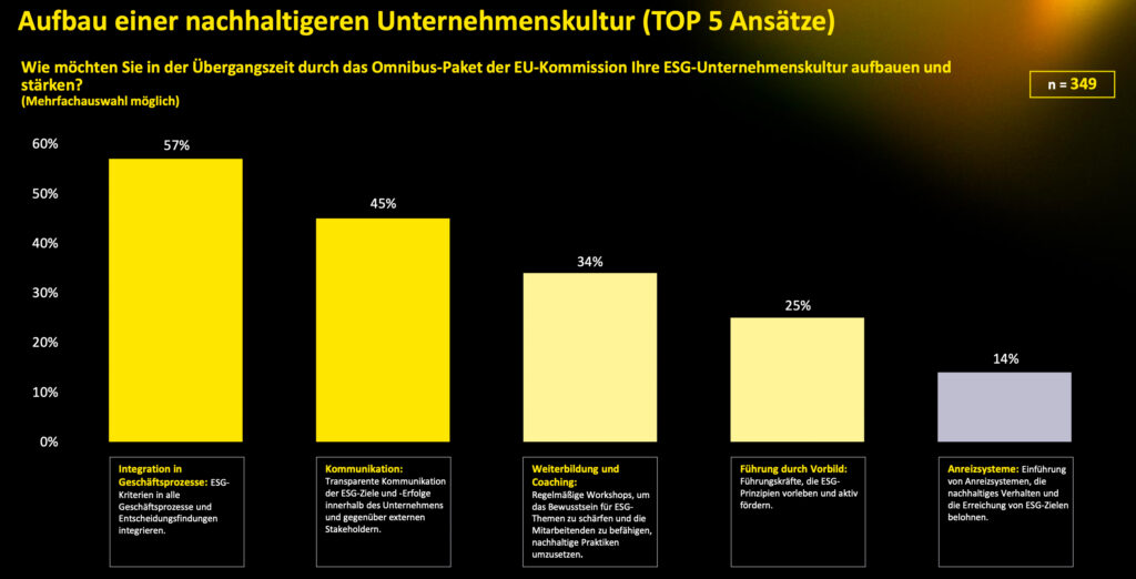Nachhaltigkeitsreporting muss professioneller und systematischer werden
