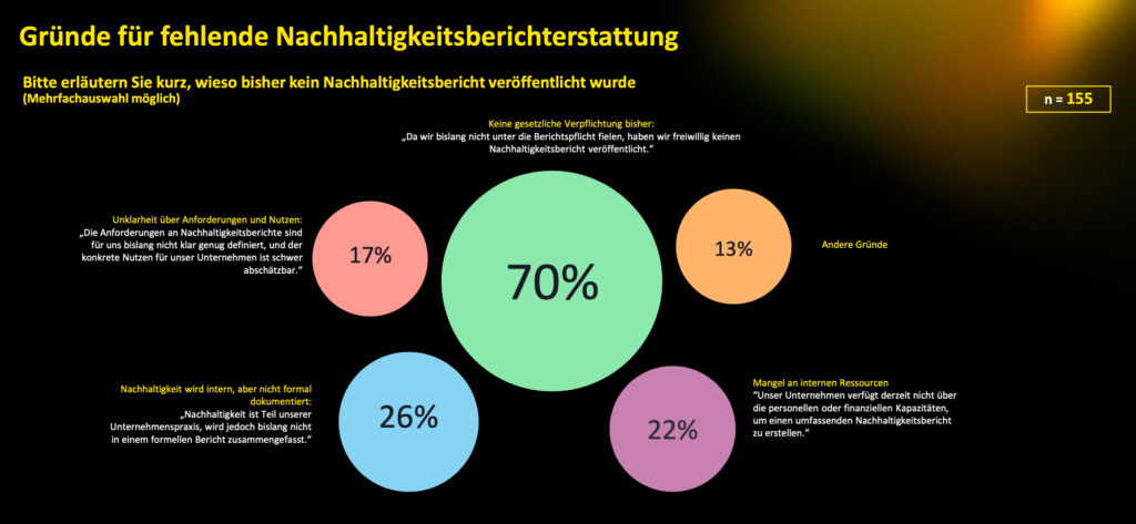 Nachhaltigkeitsreporting muss professioneller und systematischer werden
