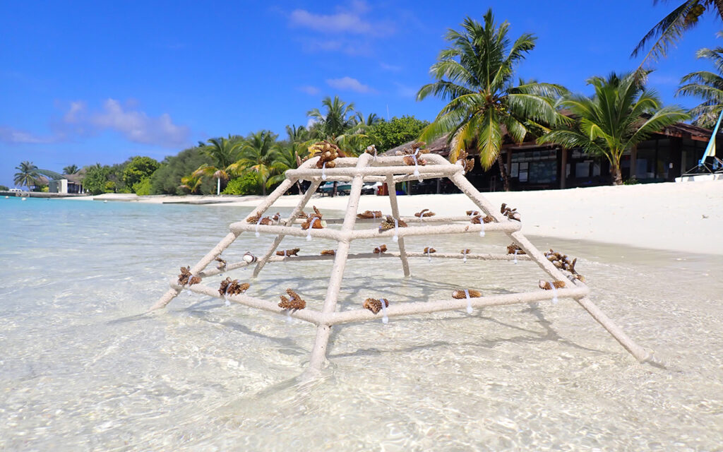 „Ich führe mit Sorgfalt und Klarheit“