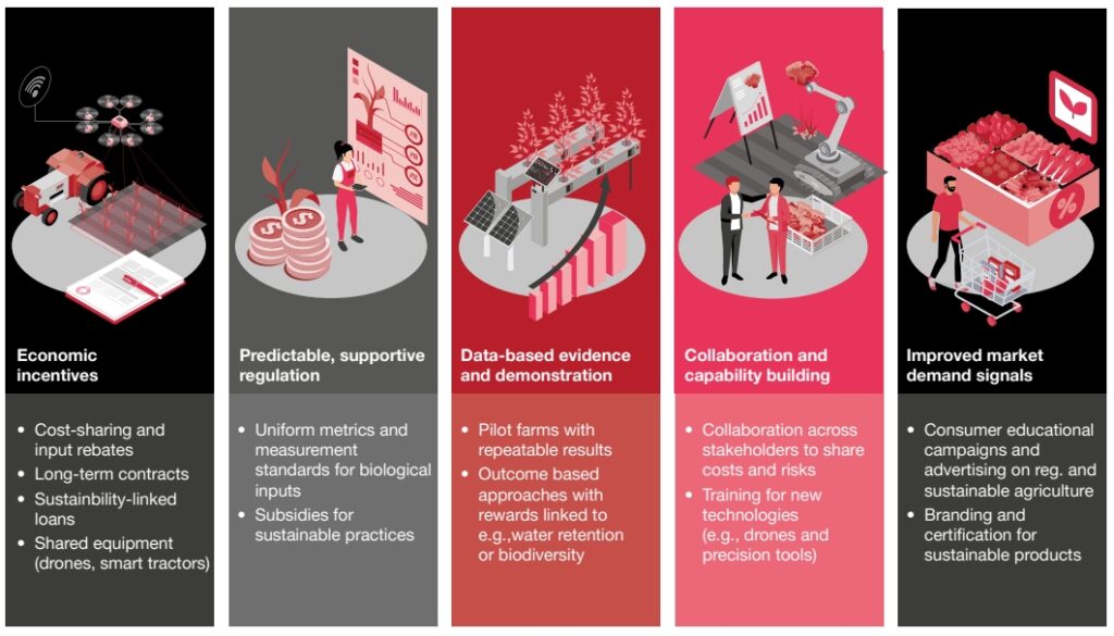 Lebensmittelwirtschaft im Wandel – zwischen Innovation und globaler Verantwortung