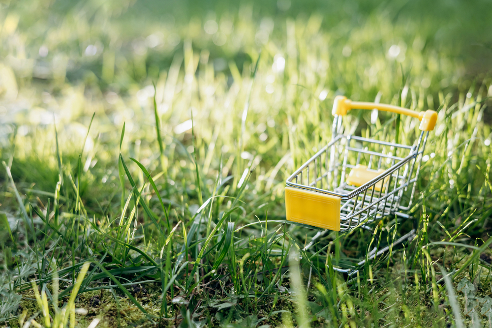 „Nachhaltige Beschaffung ist nicht zwangsläufig mit höheren Kosten verbunden“