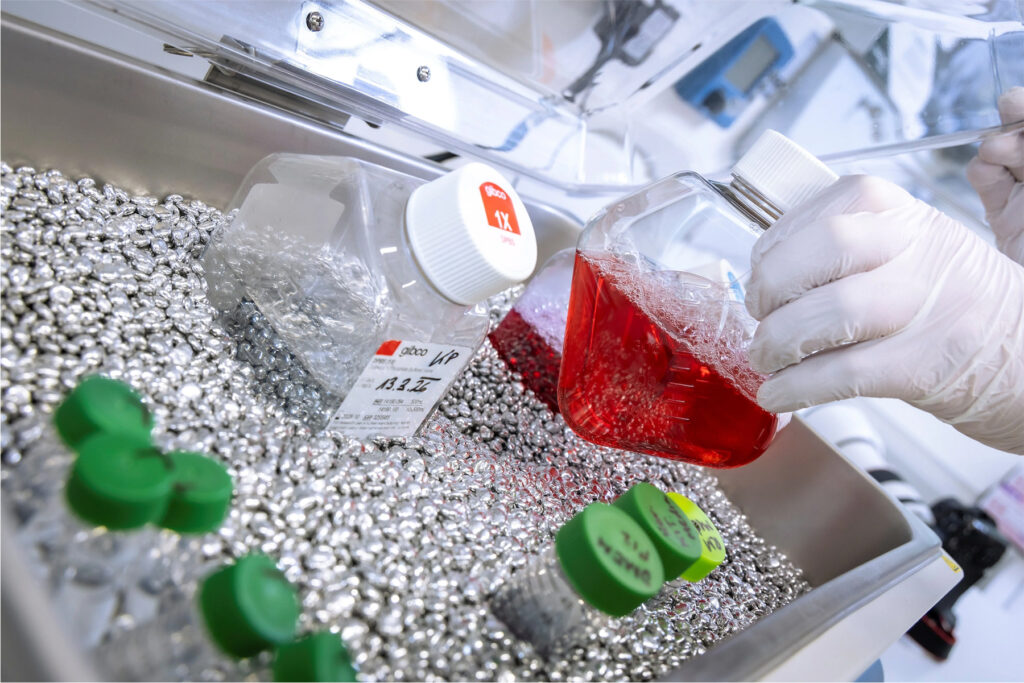 Medizinische Innovation als möglicher Paradigmenwechsel in der Chemotherapie