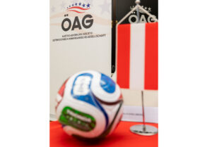Fußball-Weltmeisterschaft 2026: Sportsponsoring als effektives Marketinginstrument